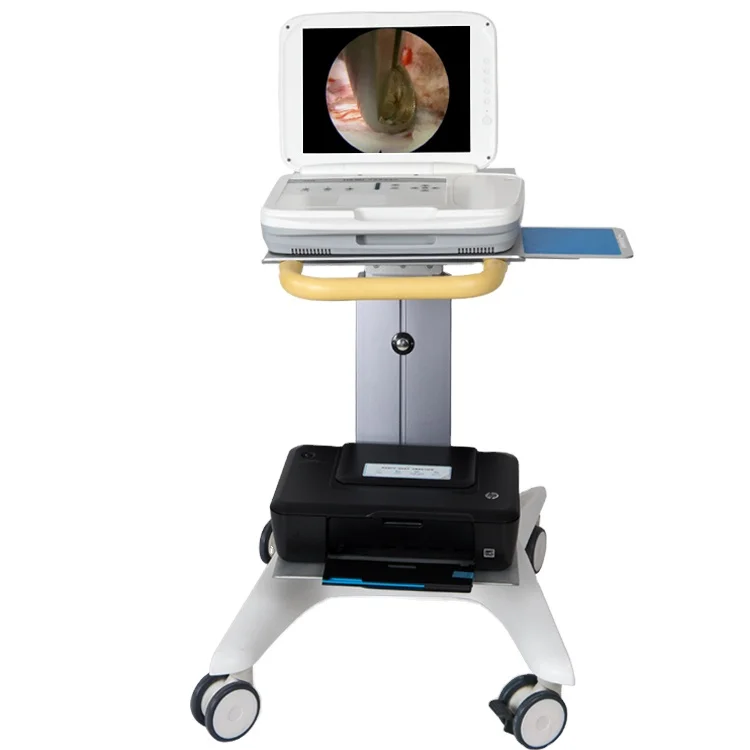 Medical Lab Images - YKD-9003 ระบบกล้องเอนโดสโคปแบบพกพา ความละเอียด Full HD สำหรับอุปกรณ์ถ่ายภาพเพื่อการวินิจฉัยทางการแพทย์ในสาขาหู